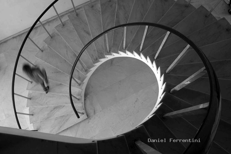 DSC_3356 copiar