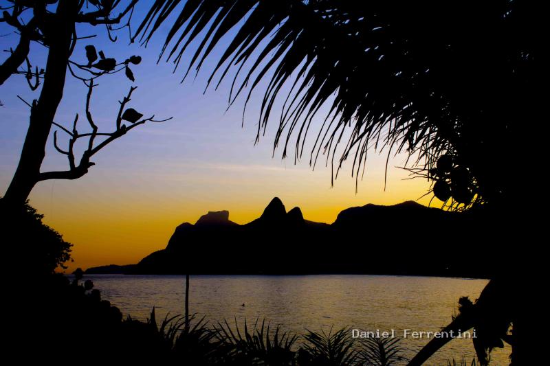 DSC_0038 copiar